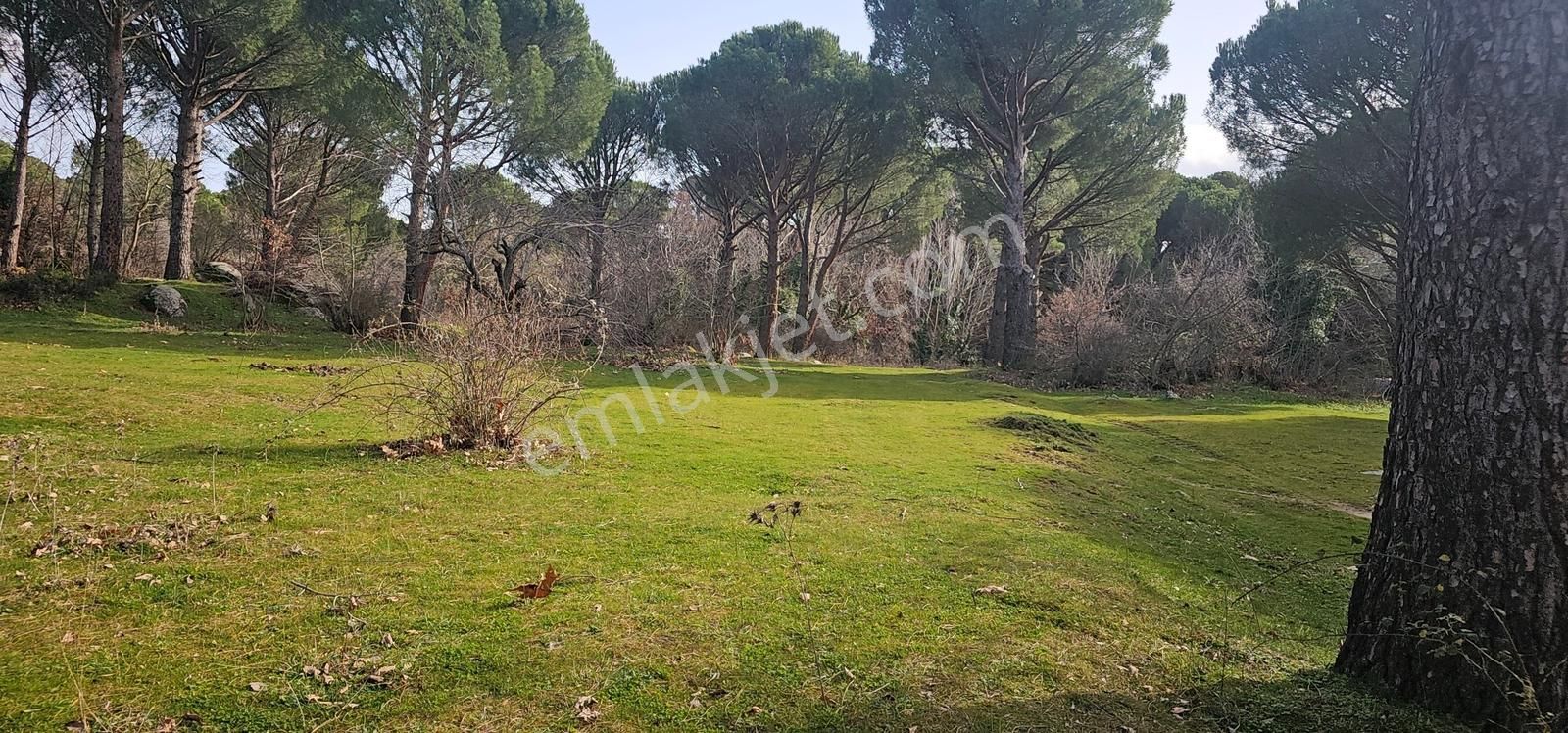 Kozak Yaylası Dere Kenarı - Görsel 11