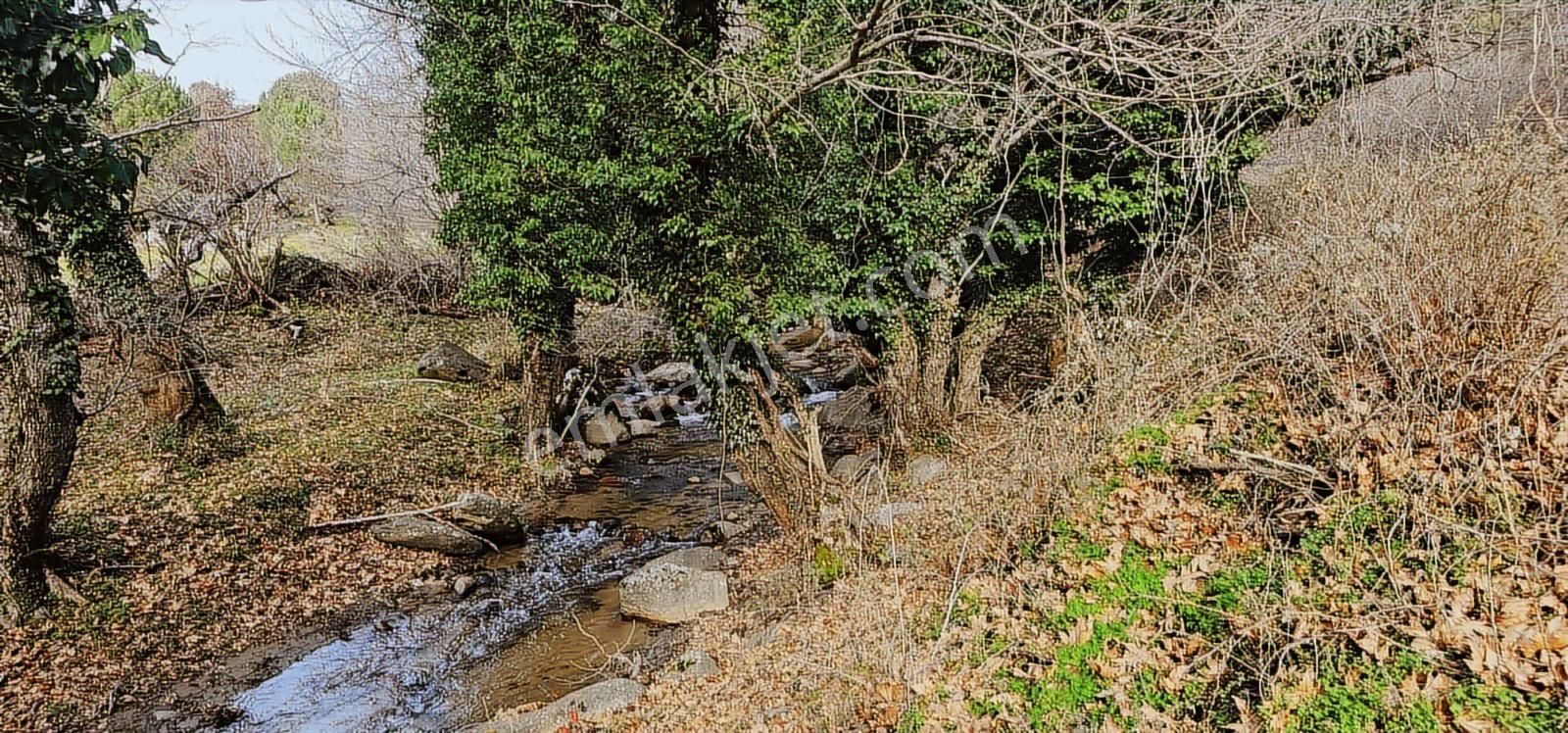 Kozak Yaylası Dere Kenarı - Görsel 15