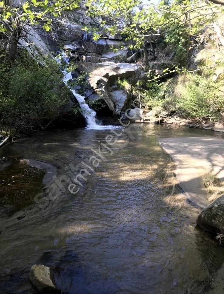 Balıkesir Burhaniye Avunduk Bölgesinde Satılık Yayla Bahçesi - Görsel 12