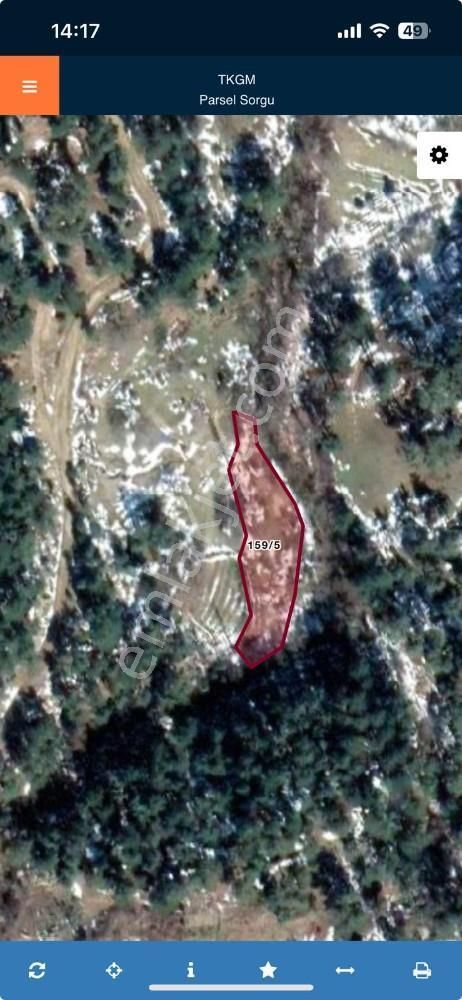 Balıkesir Burhaniye Avunduk Bölgesinde Satılık Yayla Bahçesi - Görsel 11