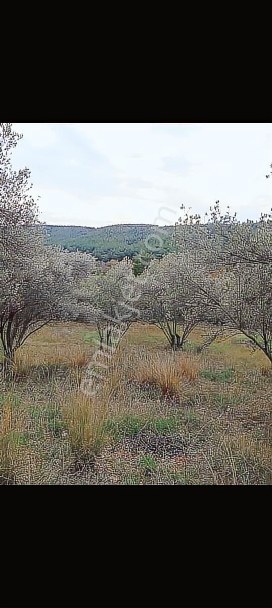 Çanakkale Lapseki Umurbey Boğaz Manzaralı Satılık Arsa
