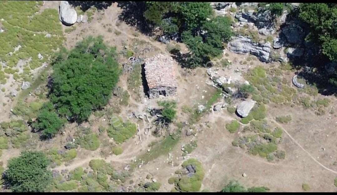 Gökçeada Zeytinlide Satılık Tarla - Görsel 5