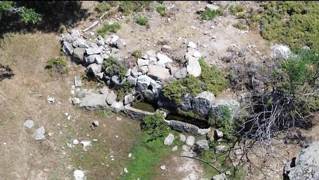 Gökçeada Zeytinlide Satılık Tarla