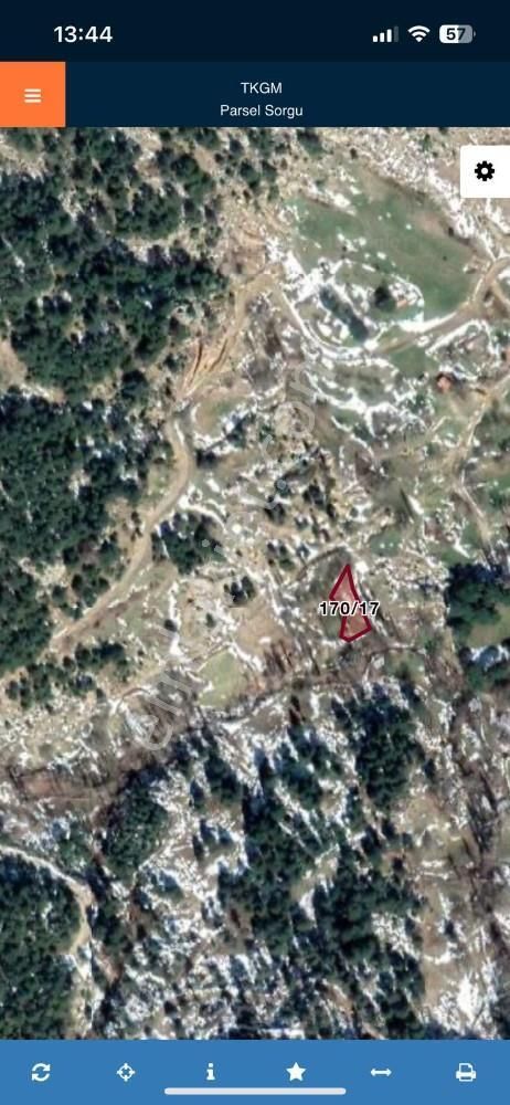 Balıkesir Burhaniye Avunduk Bölgesinde Satılık Yayla Bahçesi - Görsel 14