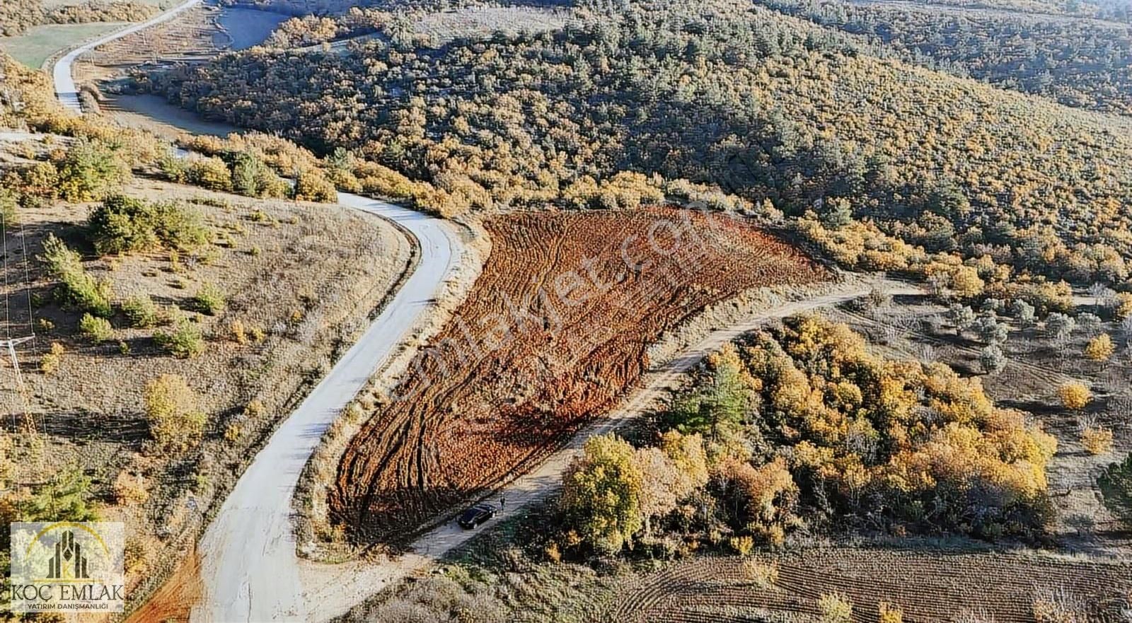 Merkez Örenköy'de Fırsat 110 Metre Asfalta Cephe Tarla !! - Görsel 2