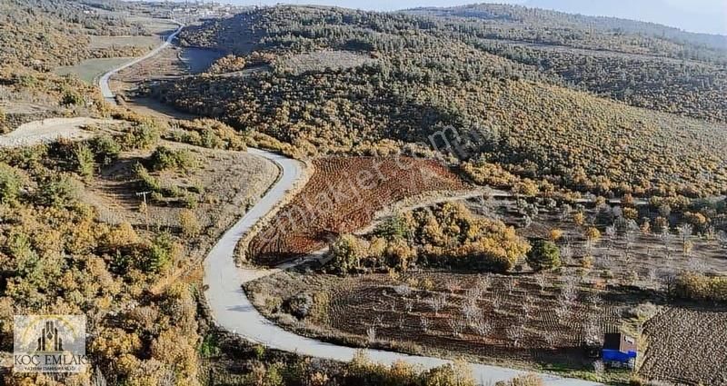 Merkez Örenköy'de Fırsat 110 Metre Asfalta Cephe Tarla !!