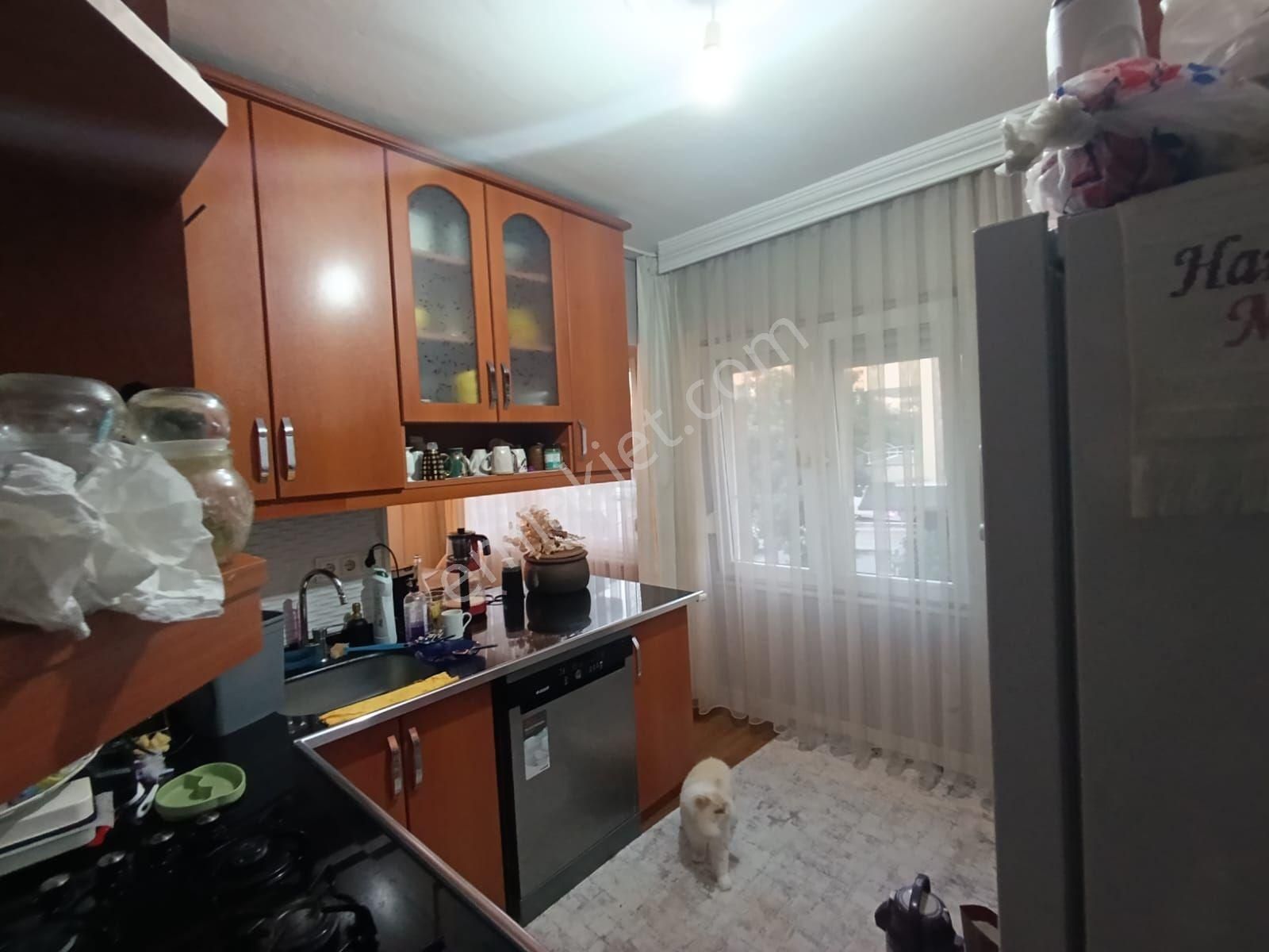 Güllerpınarı Mahallesinde - Görsel 15