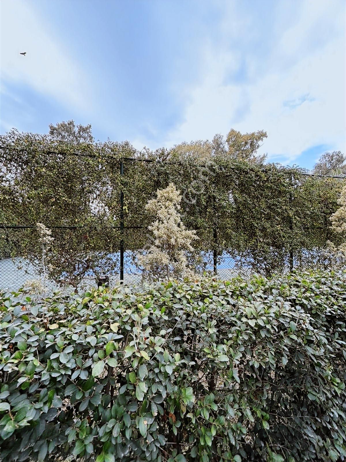 Antalya Konyaaltı Casabada Havuz Cephe 4+1 Satılık Lüx Daire - Görsel 11