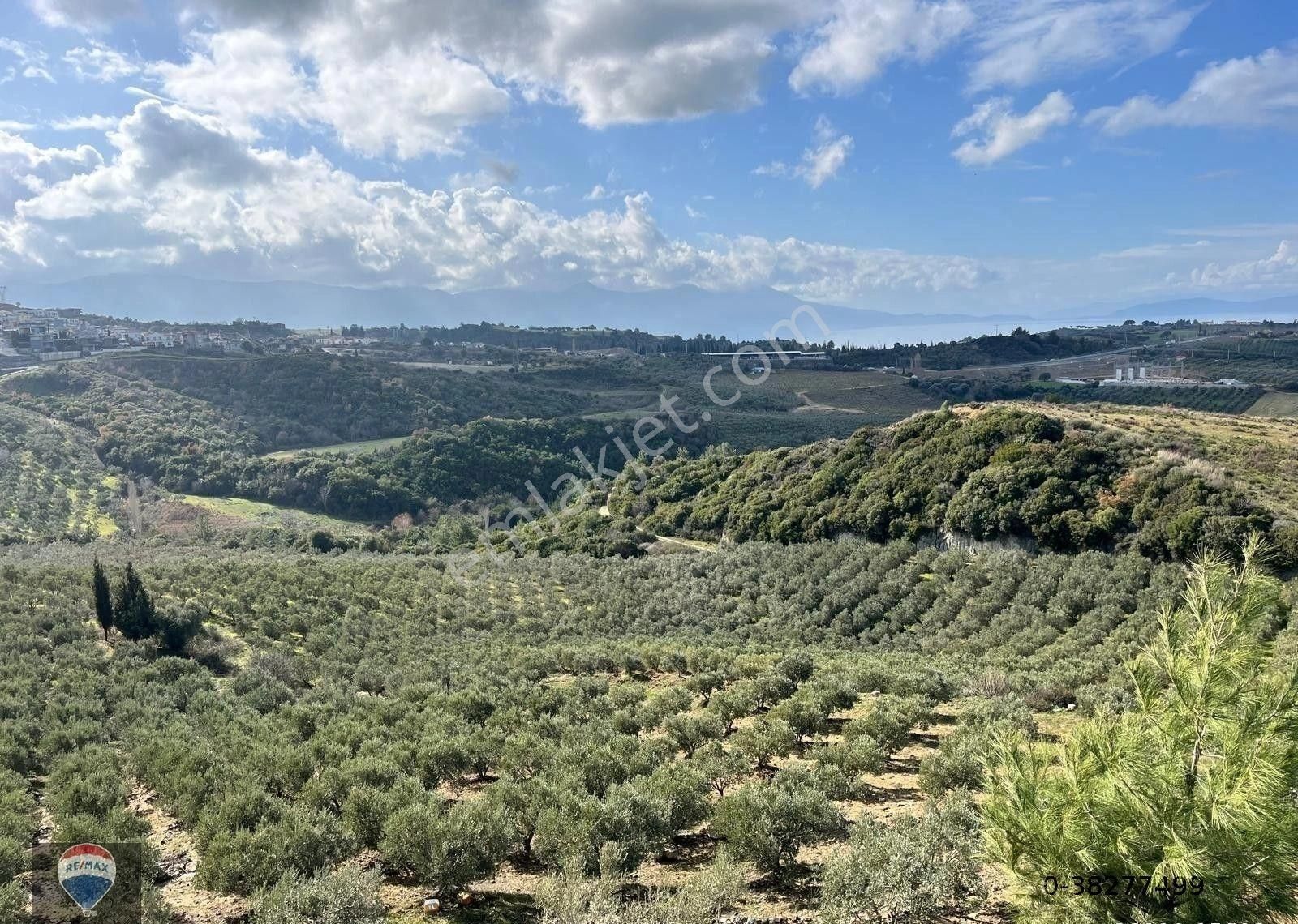 Yaylaköy'de 14.104 M² Yatırıma Uygun Arsa - Görsel 3