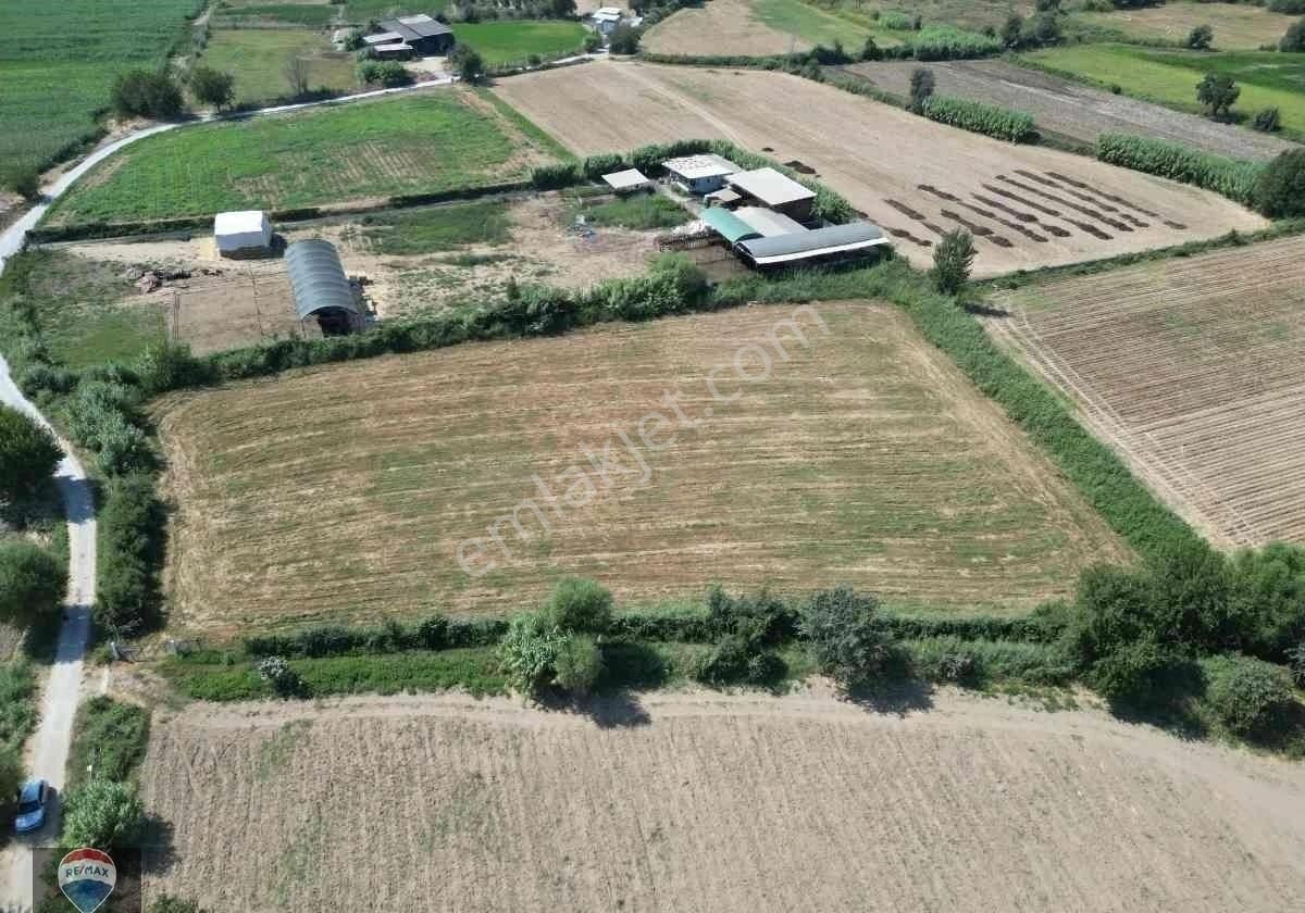 “merkeze Ve Osb’ye Yakın 8 Dönüm Tarla – Yolu Açık, Sorunsuz Altyapı” - Görsel 4