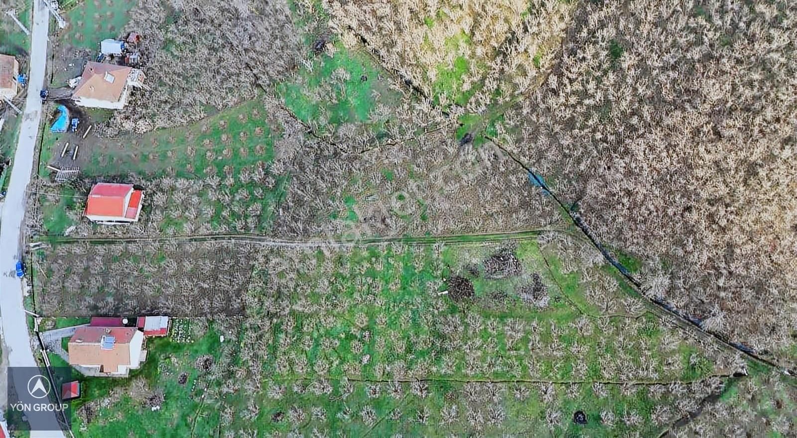 Yön Group'tan Dokurcun'da Acil Satılık Fındık Bahçesi - Görsel 16