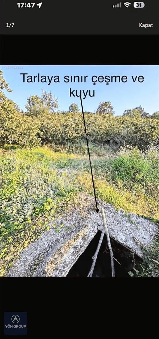 Yön Group'tan Dokurcun'da Acil Satılık Fındık Bahçesi - Görsel 8