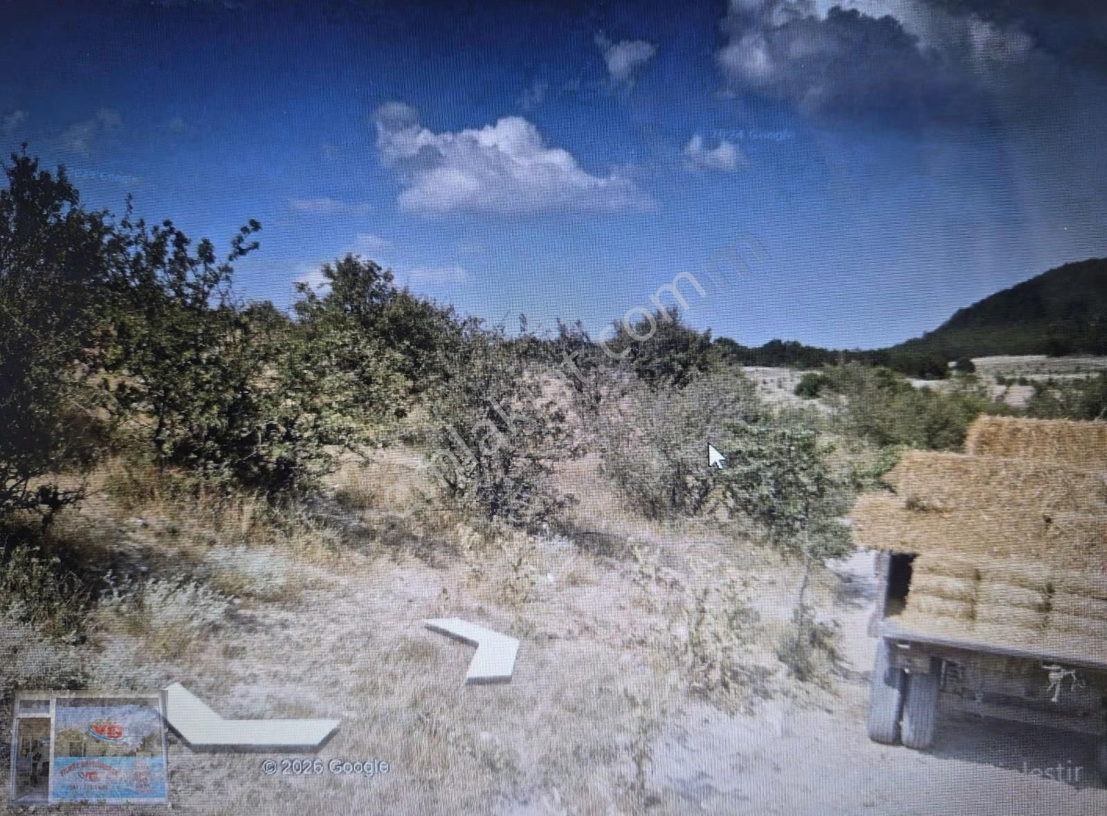 Bilecik Gölpazarı Dokuz Köyünde 1000 M2 Köye Ve Yola Yakın Tarla - Görsel 4