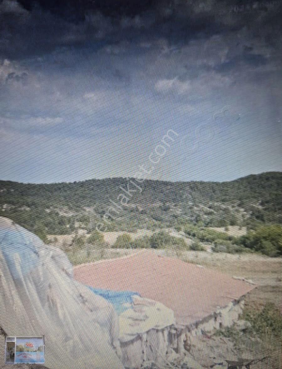 Bilecik Gölpazarı Dokuz Köyünde 1000 M2 Köye Ve Yola Yakın Tarla - Görsel 5