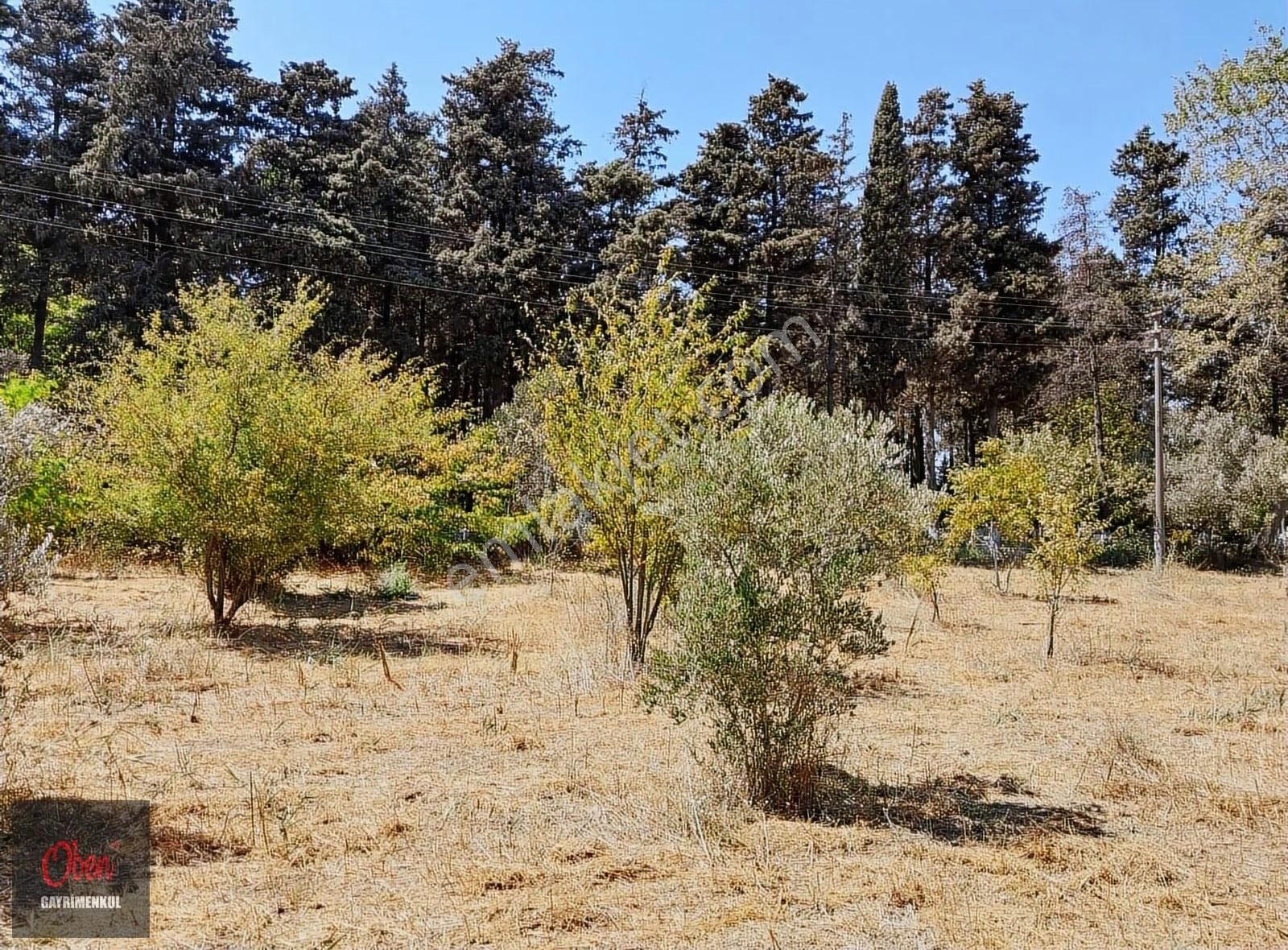 Lapseki Çardak'da Köprüye 6 Km 2329 M² Konut İmarlı Arsa - Görsel 6