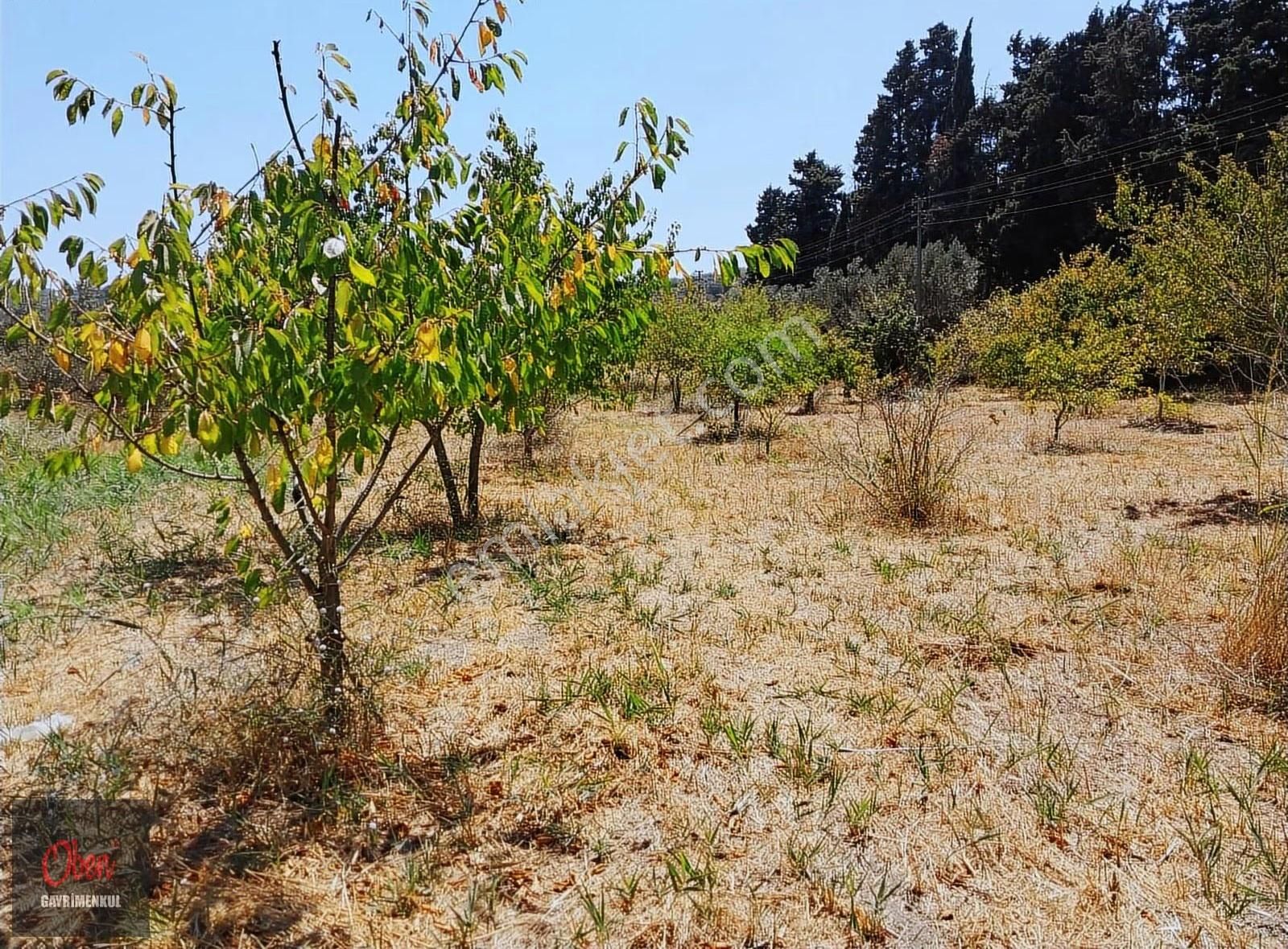 Lapseki Çardak'da Köprüye 6 Km 2329 M² Konut İmarlı Arsa - Görsel 3