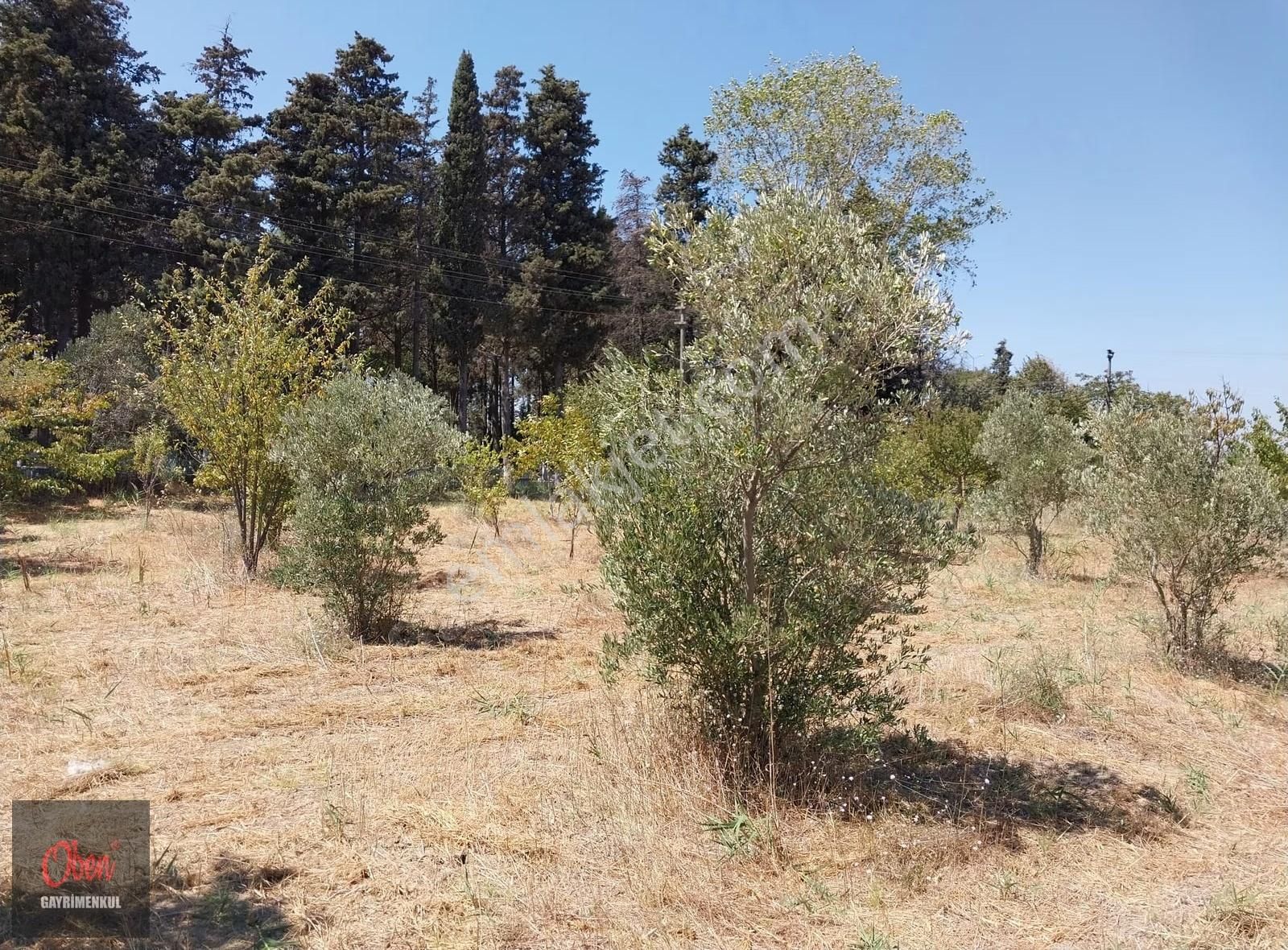 Lapseki Çardak'da Köprüye 6 Km 2329 M² Konut İmarlı Arsa - Görsel 4