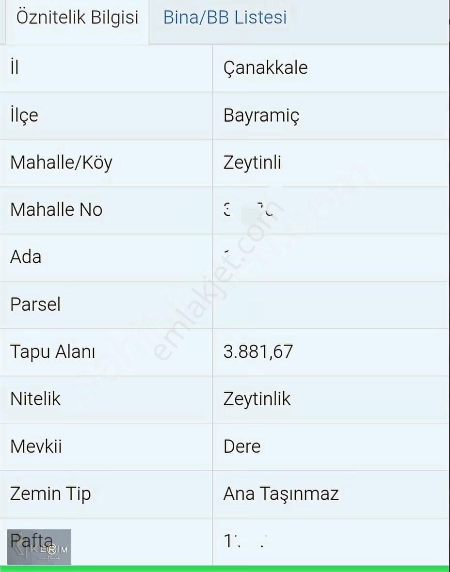 Kerim'den Bayramiç'de Satılık Yatırımlık Zeytinlik - Görsel 3