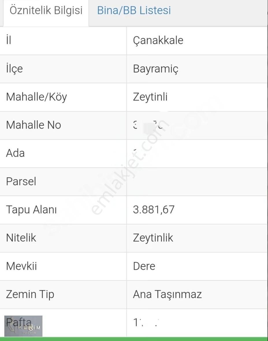 Kerim'den Bayramiç'de Satılık Yatırımlık Zeytinlik - Görsel 7