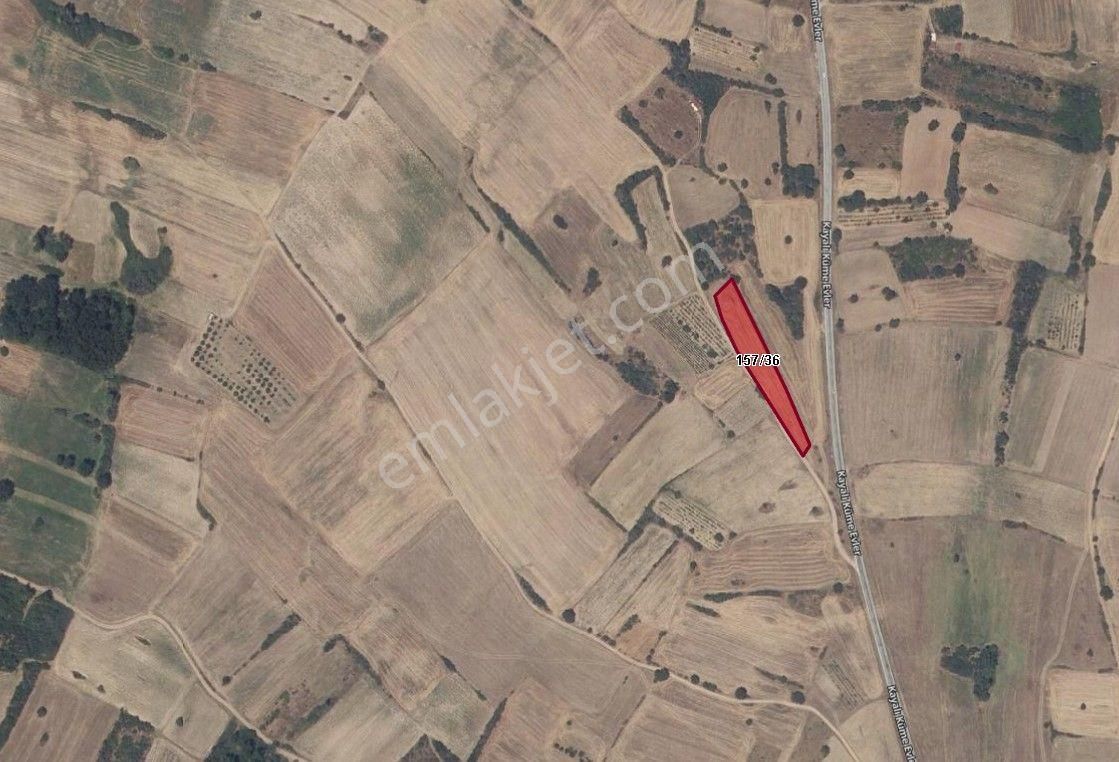 Kırklareli Merkede Satılık Kupon Tarla - Görsel 3