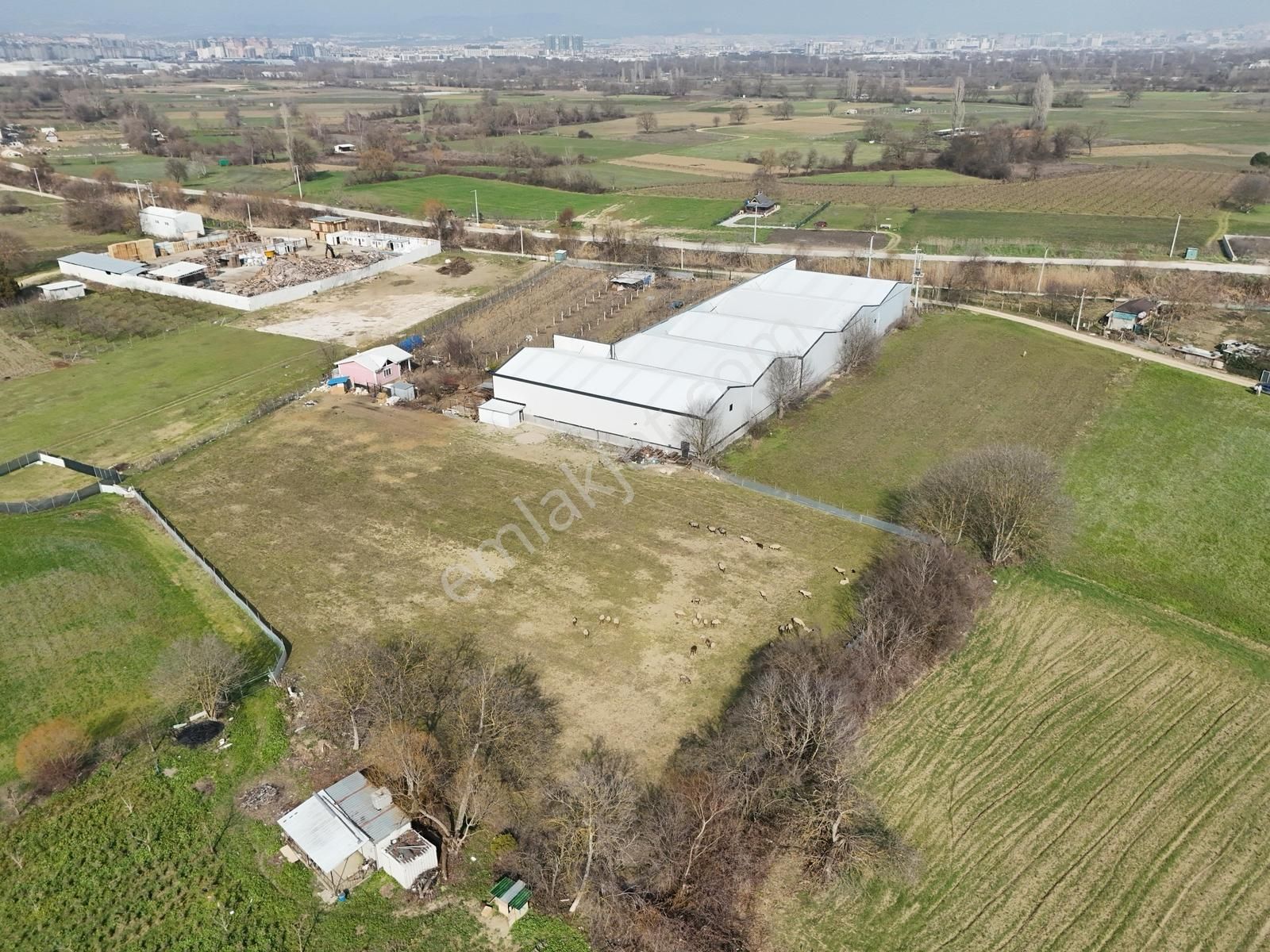 Nilüfer Yaylacıkta Satılık Tek Tapu Arazi Depolar Bölgesinde - Görsel 14