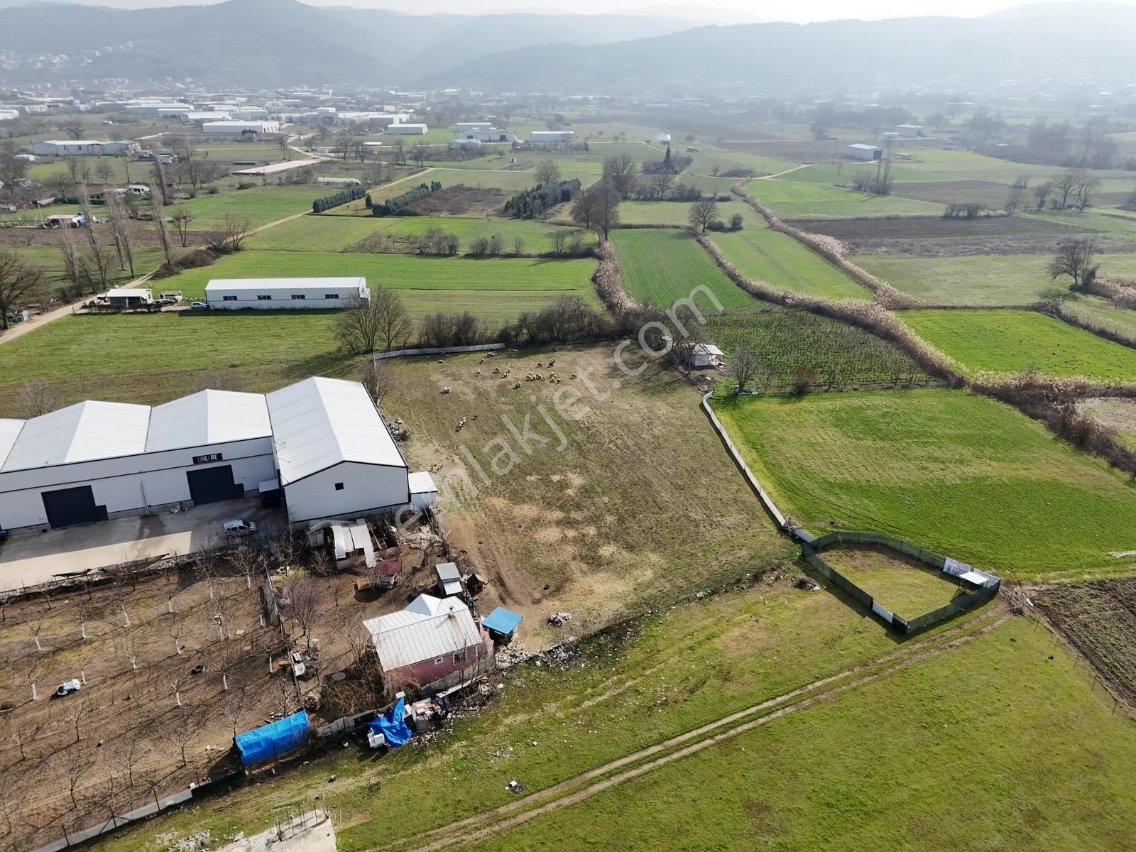 Nilüfer Yaylacıkta Satılık Tek Tapu Arazi Depolar Bölgesinde - Görsel 9