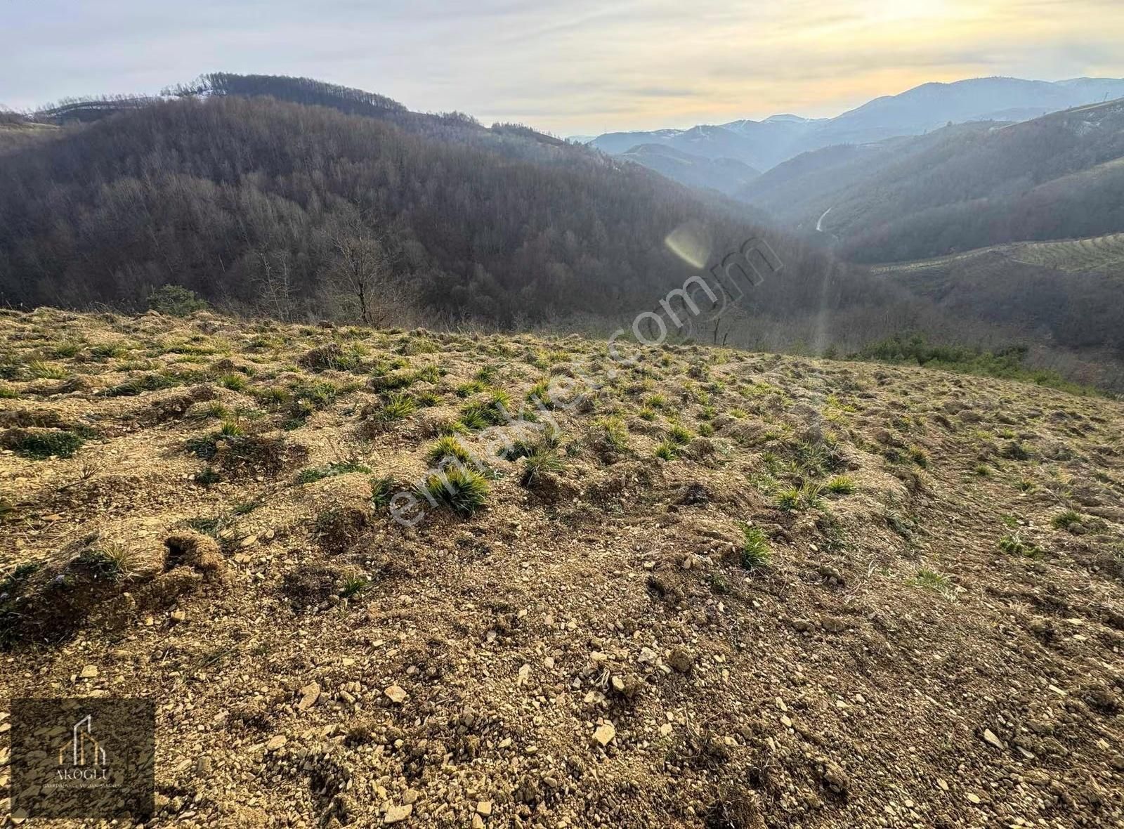 Tekkeköy Karışla Mevkii Satılık Tarla - Görsel 2