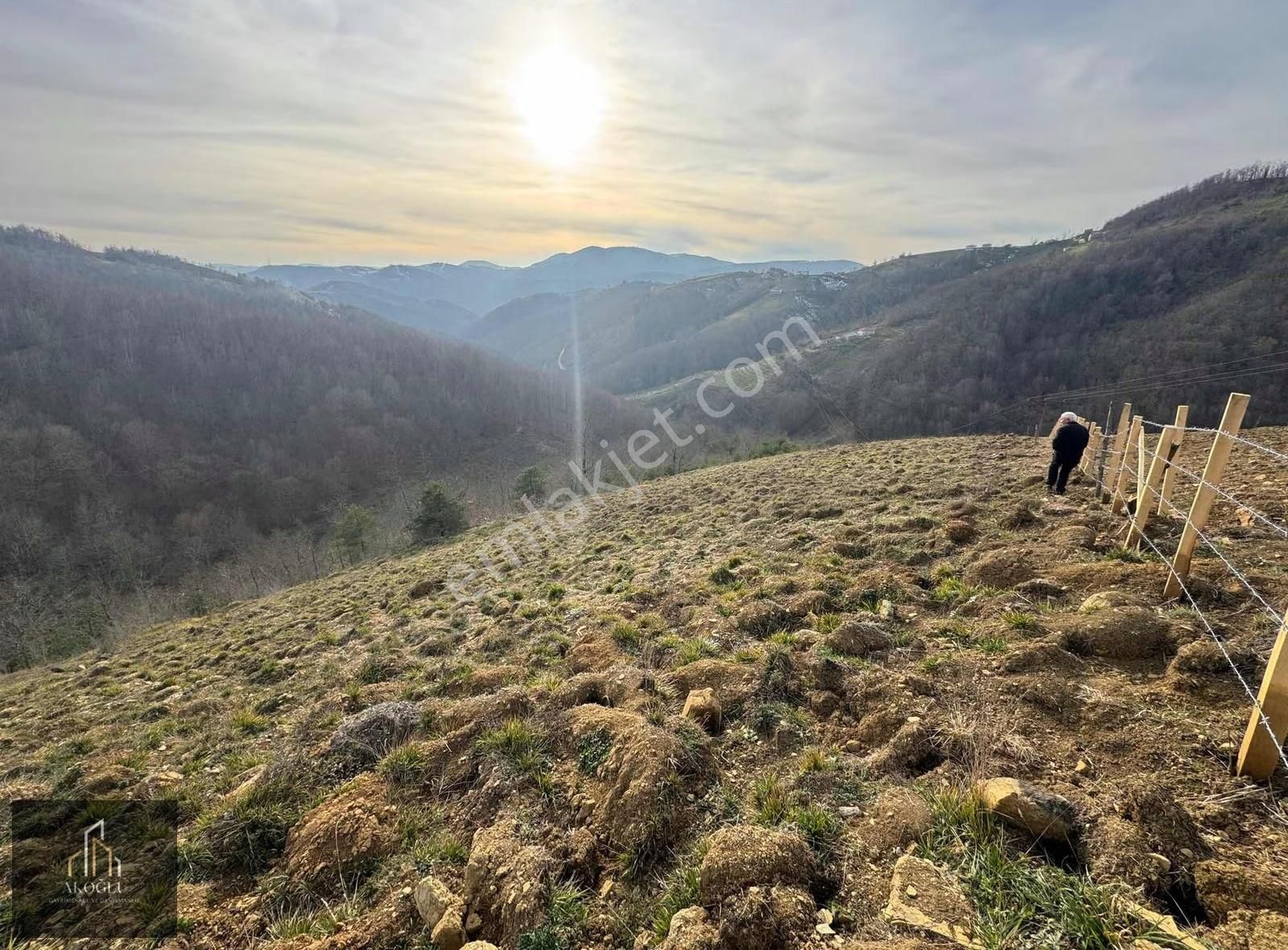 Tekkeköy Karışla Mevkii Satılık Tarla
