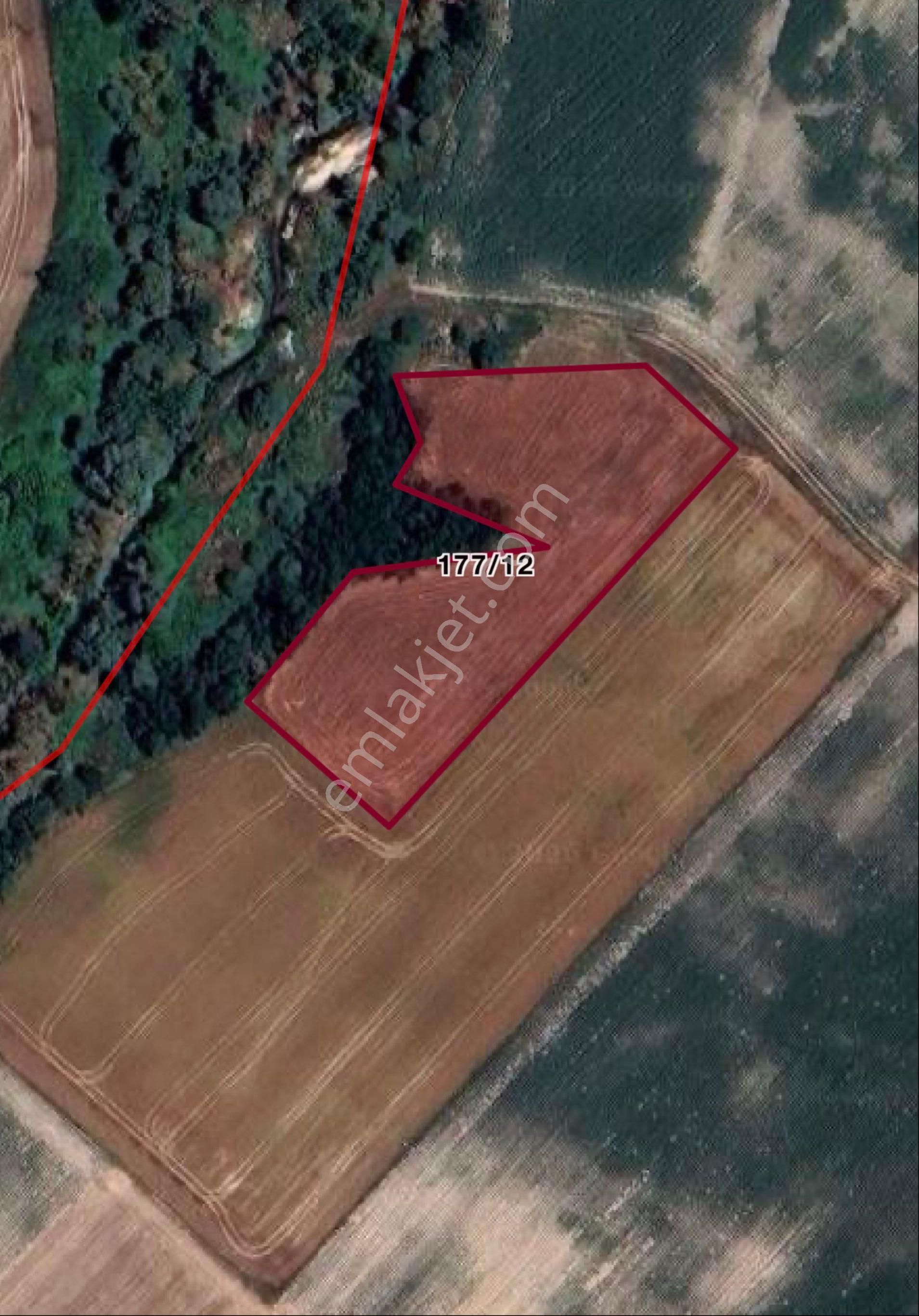 Tekirdağ Ergene’de-caddeye Yürüme Mesafesinde-nehrin Hemen Yanında-yatırımlık Arazi - Görsel 2