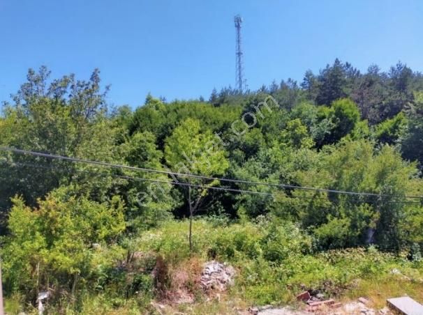 Highway Avmnin Hemen Arkasında - Görsel 3