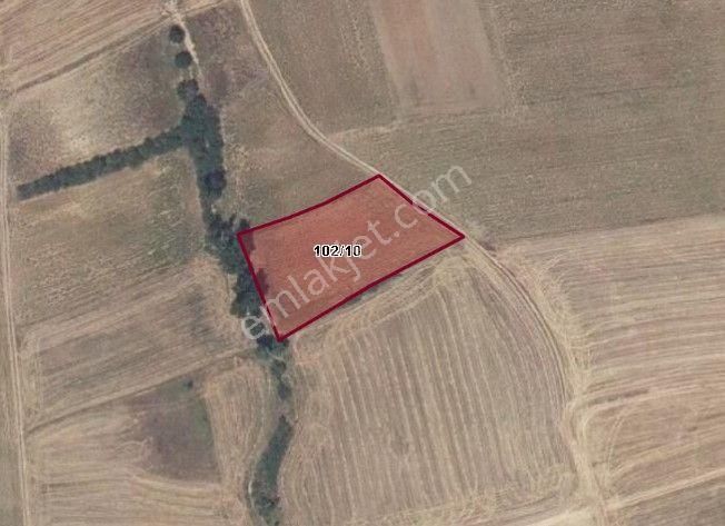 Kırklareli Merkede Satılık Kupon Tarla