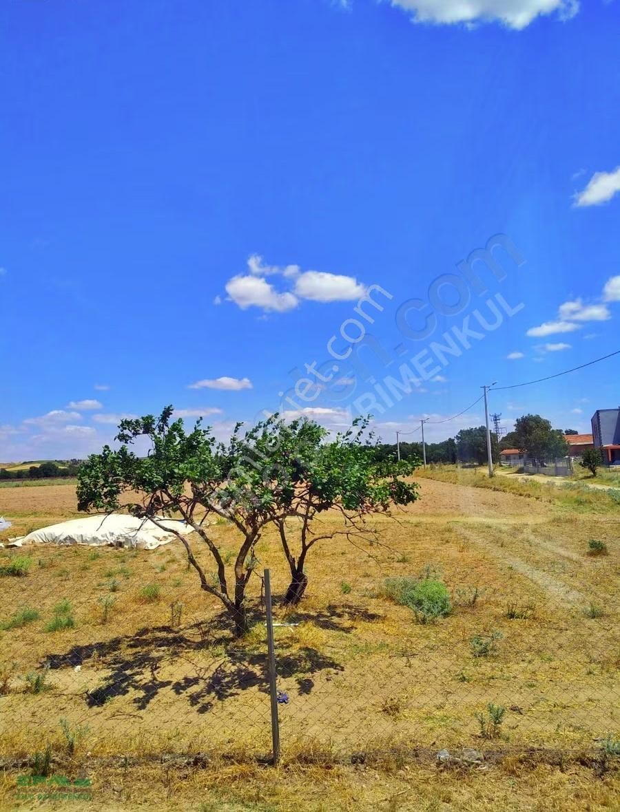 Enez Küçükevrende Bahçeli, Sakin Konumda Sezonluk Kiralık 2+0! - Görsel 6