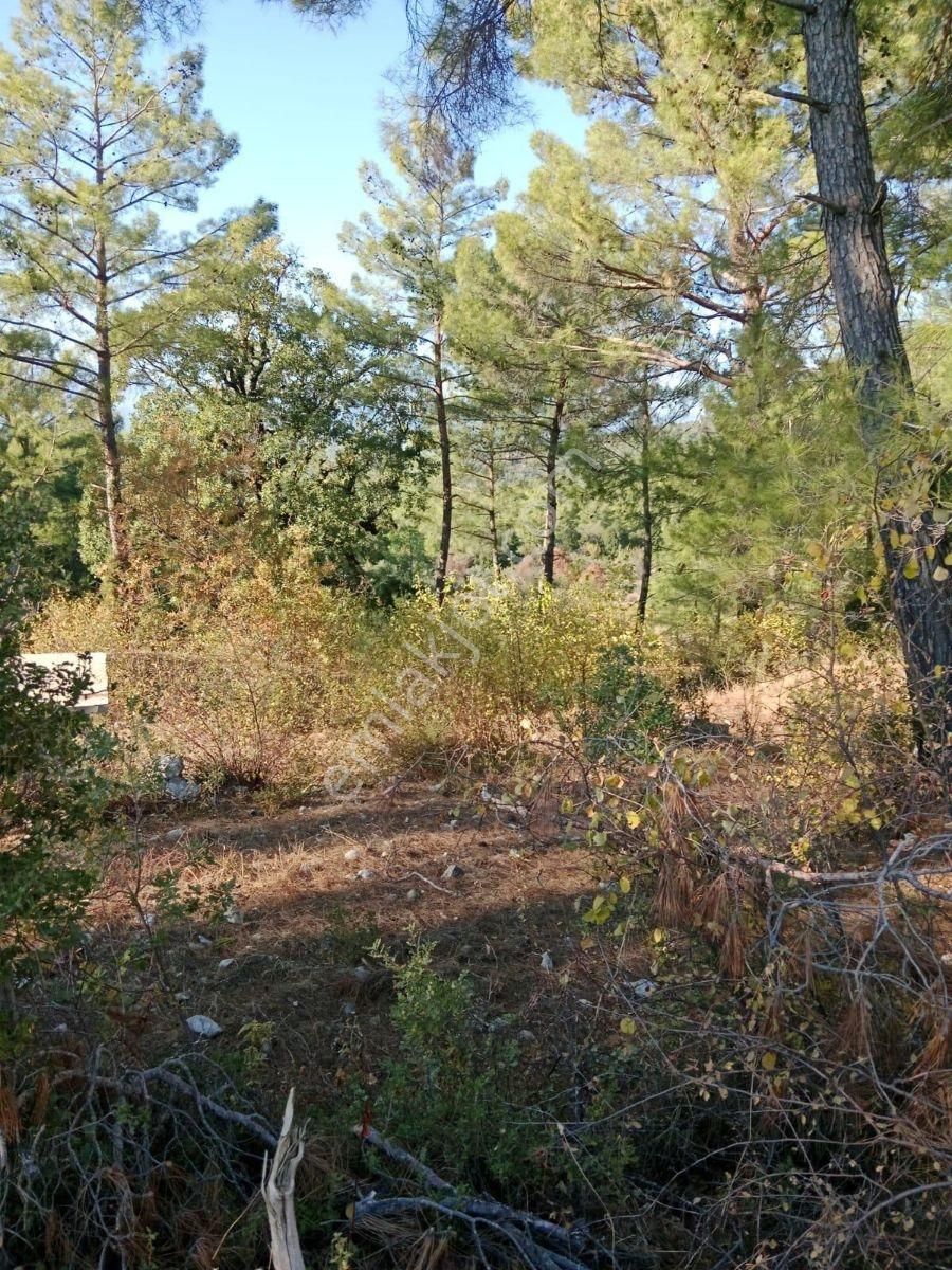 Grow Emlak Satılık 3100 M2 Tarla - Görsel 10