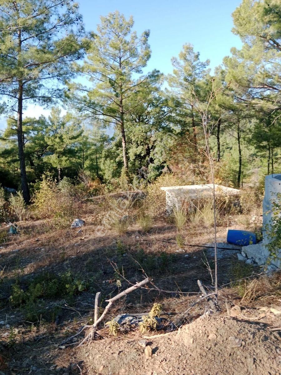 Grow Emlak Satılık 3100 M2 Tarla - Görsel 9