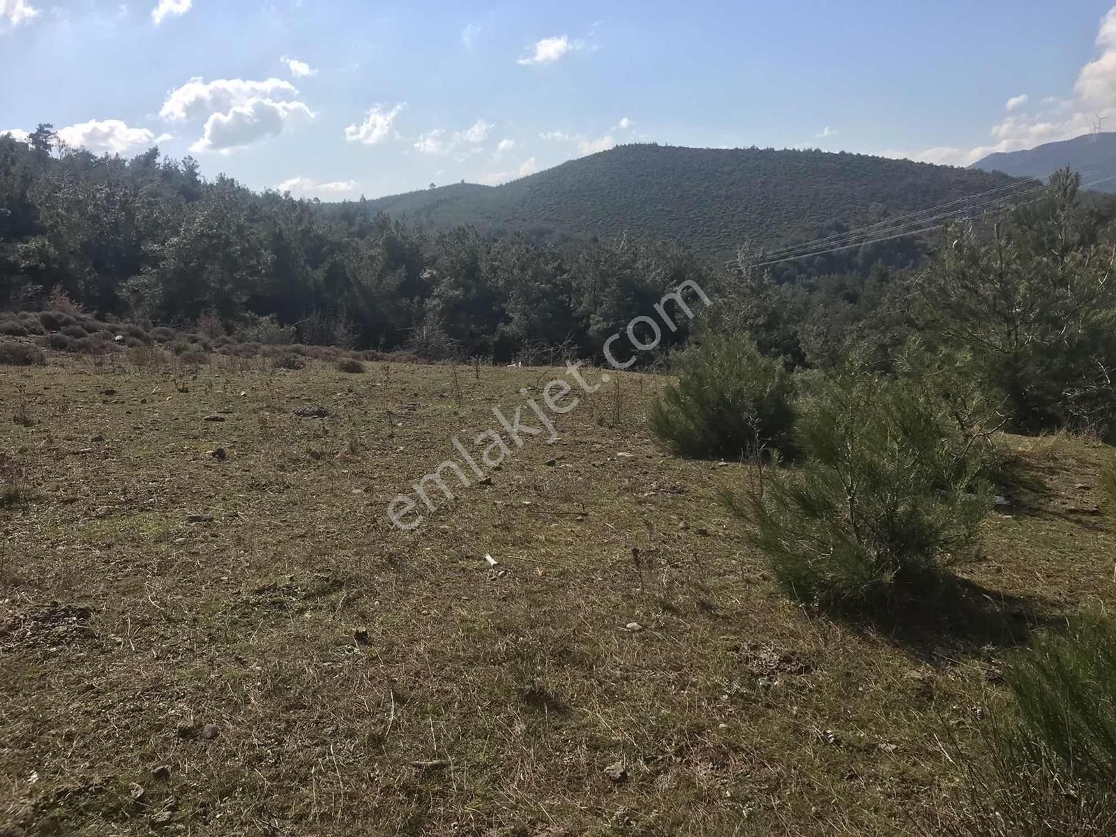 Köy Yerleşimine Yakın Tarla 3928 Metre .. - Görsel 17