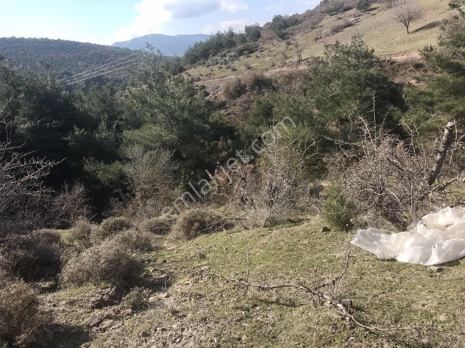 Köy Yerleşimine Yakın Tarla 3928 Metre .. - Görsel 22