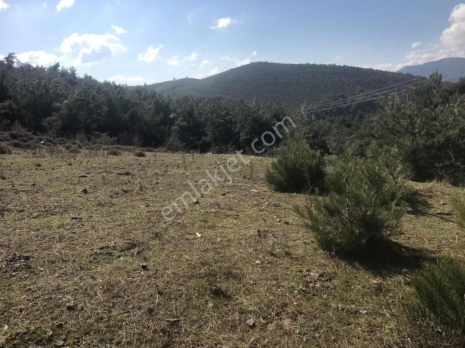 Köy Yerleşimine Yakın Tarla 3928 Metre .. - Görsel 23