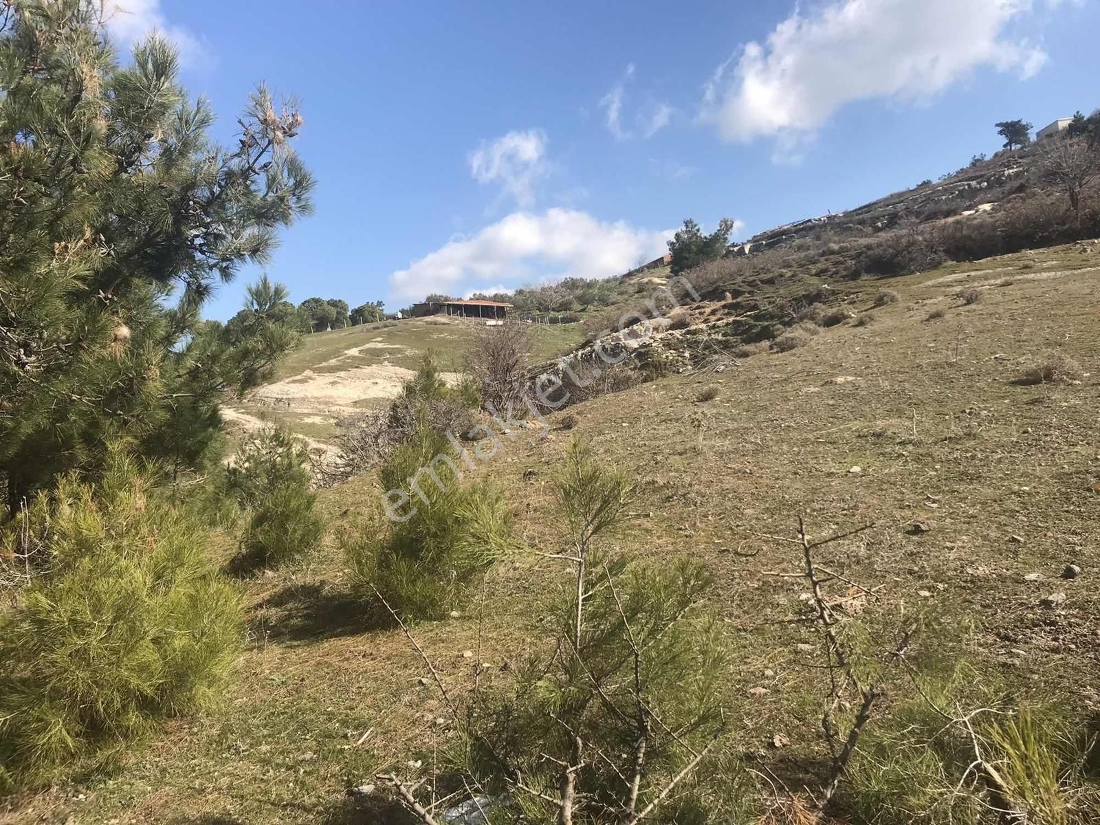 Köy Yerleşimine Yakın Tarla 3928 Metre .. - Görsel 16