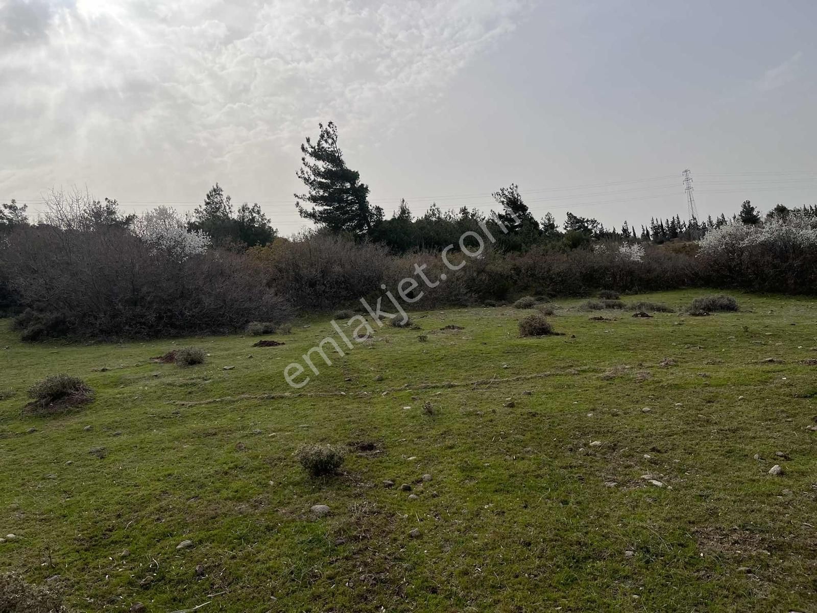 6628 Metre Tarla.köye 120 Metre.tek Tapu.konumu Çok Güzel - Görsel 21