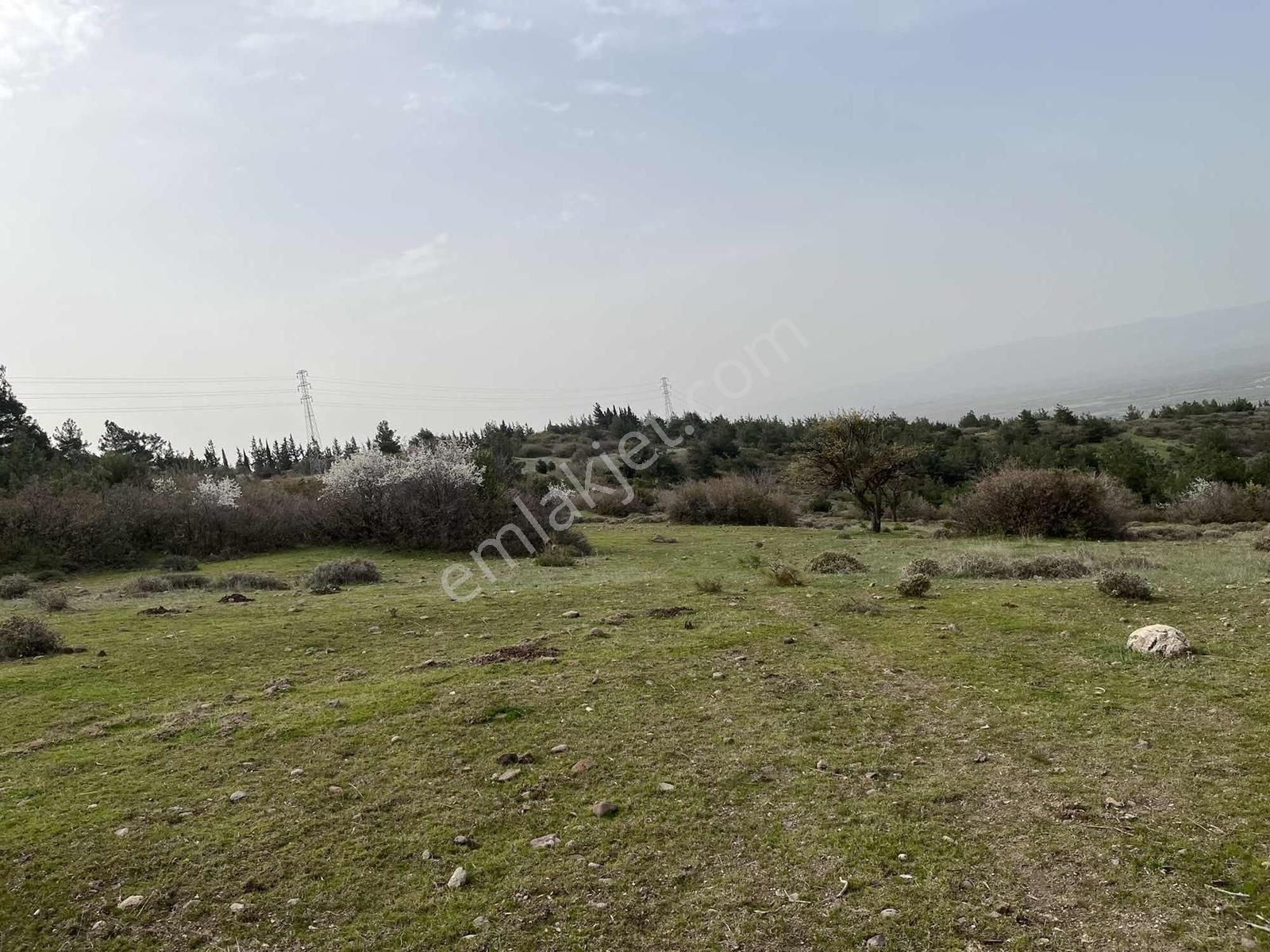 6628 Metre Tarla.köye 120 Metre.tek Tapu.konumu Çok Güzel - Görsel 20