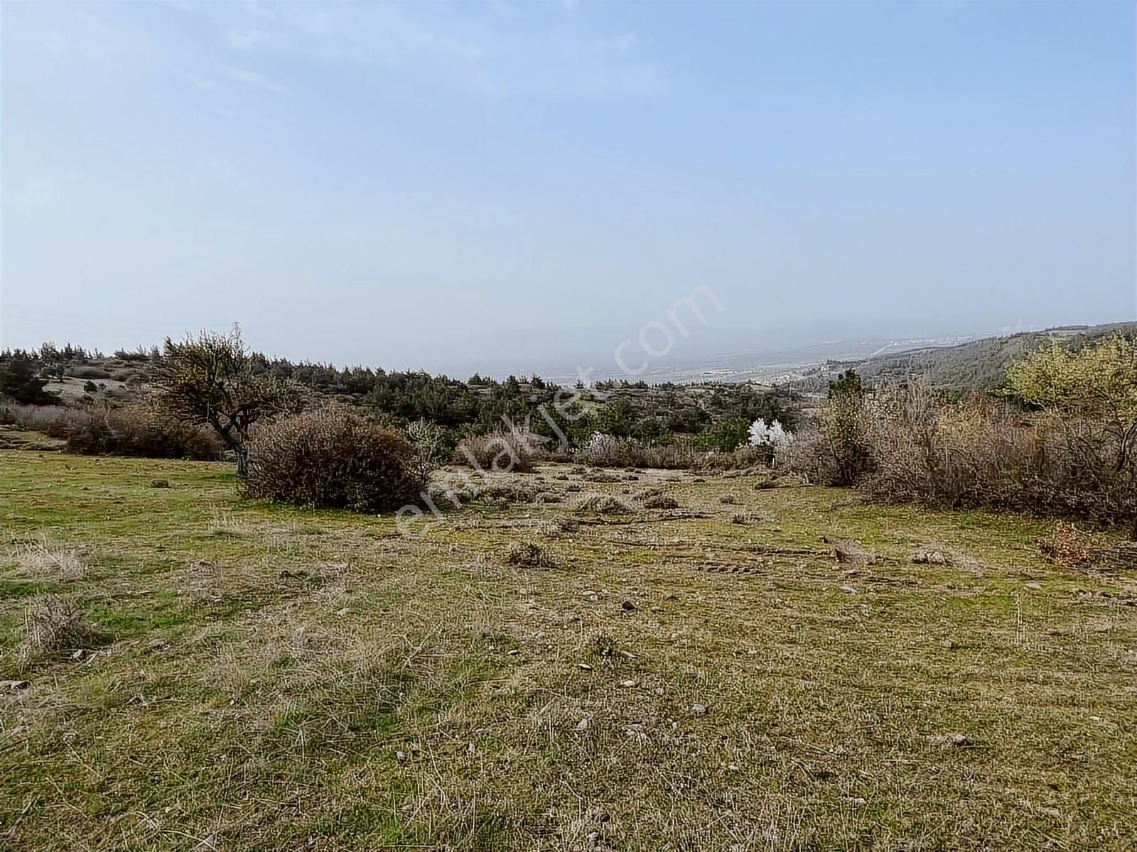 Kınık Taştepe'de 6.628 M² Satılık Tarla - Köy Manzaralı & Tek Tapu - Görsel 14