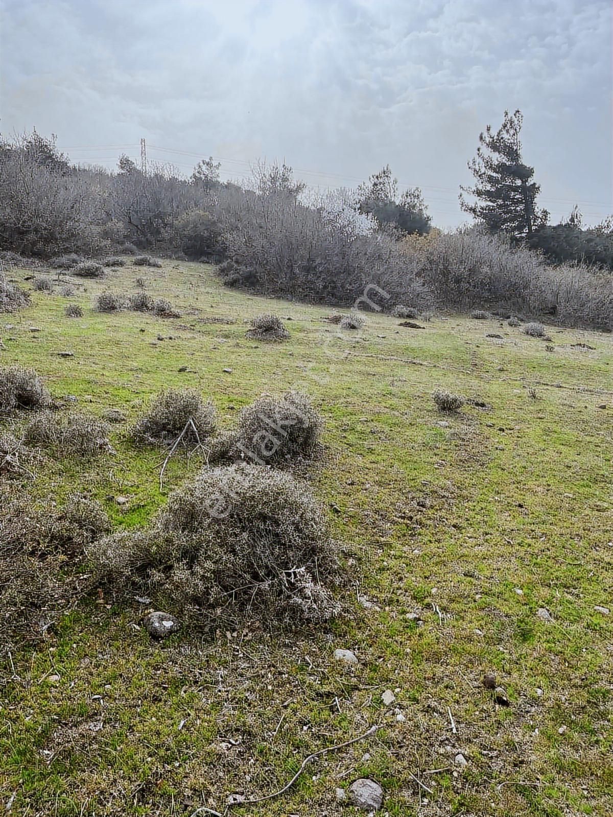 Kınık Taştepe'de 6.628 M² Satılık Tarla - Köy Manzaralı & Tek Tapu - Görsel 6