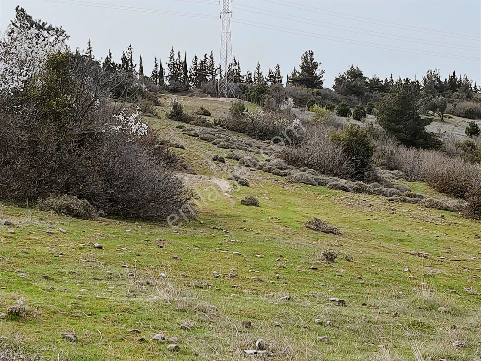Kınık Taştepe'de 6.628 M² Satılık Tarla - Köy Manzaralı & Tek Tapu - Görsel 9