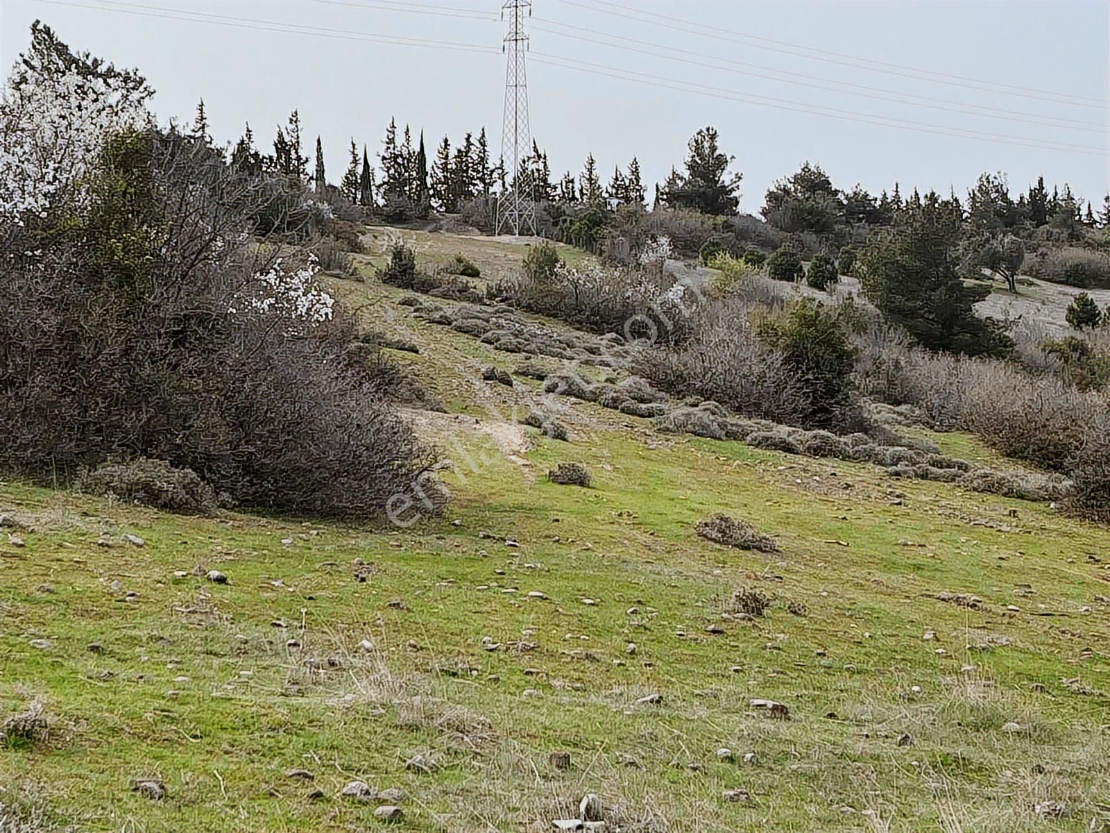 Kınık Taştepe'de 6.628 M² Satılık Tarla - Köy Manzaralı & Tek Tapu - Görsel 4