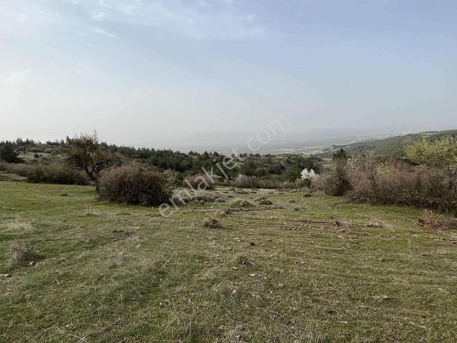 6628 Metre Tarla.köye 120 Metre.tek Tapu.konumu Çok Güzel - Görsel 19