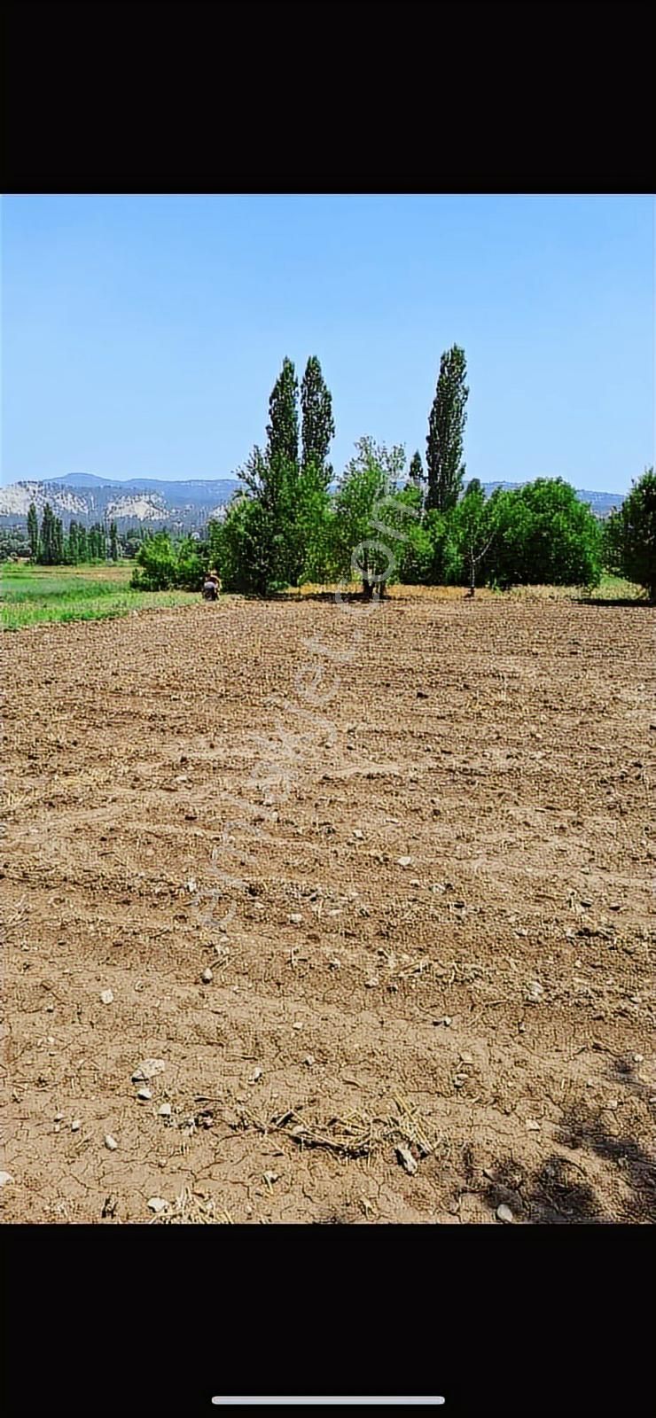 205 Mt Arazi. Kadastro Yolu Var. Hobi Bahçesine Uygun. Tek Tapu. - Görsel 4