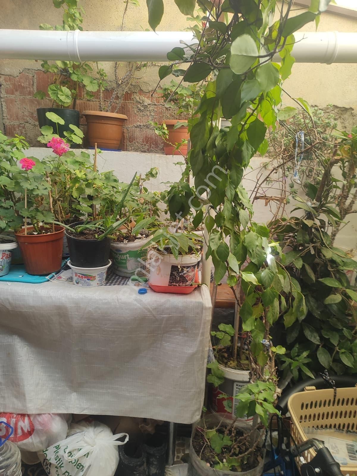 İlçe Merkezinde 140m2 Avlulu Tek Kat Müstakil Ev Mustafakemalpaşa Da