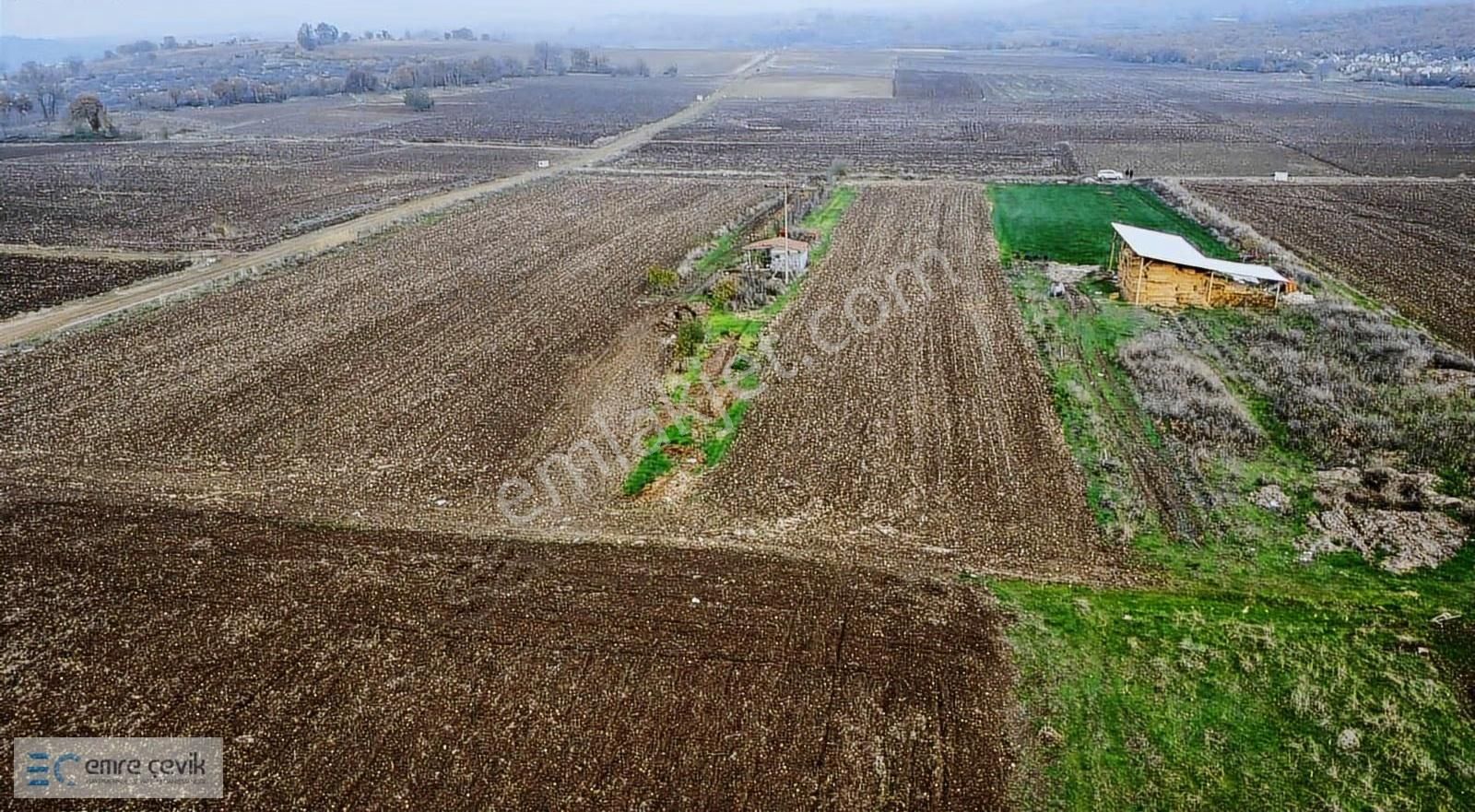 Yenişehir Karaamca Köyü Yanı Satılık 17303m2 Tarla - Görsel 7