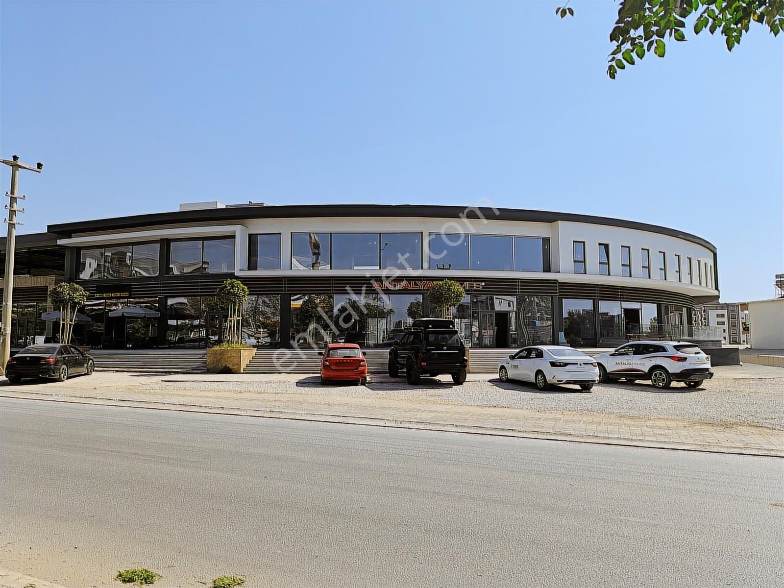 Altıntaş Viva Defnede Kiralık Giriş Katı Dükkan | Tekce - Görsel 3