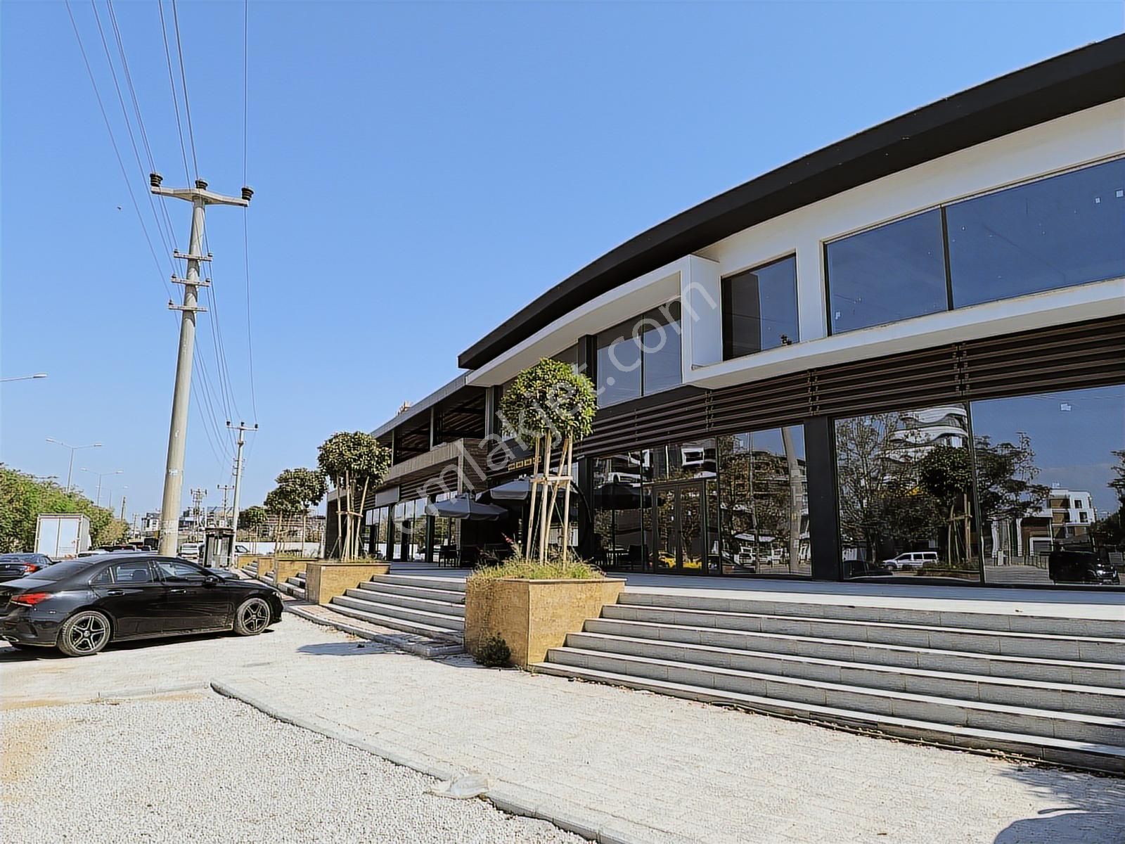 Altıntaş Viva Defnede Kiralık Giriş Katı Dükkan | Tekce - Görsel 4